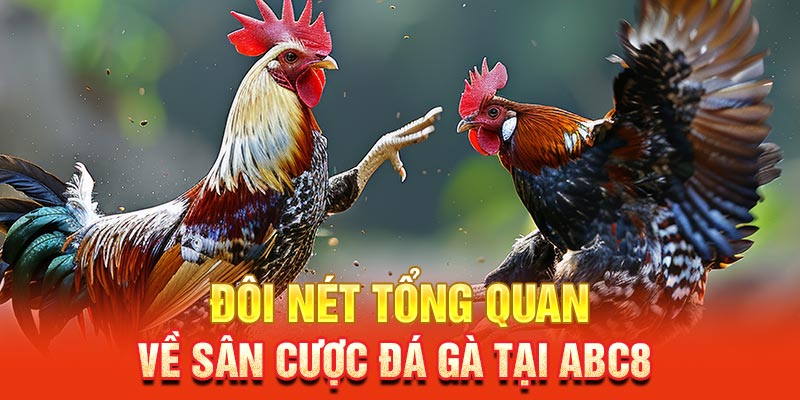 Giới thiệu sảnh live đá gà tại ABC8 24/24 tại Thomo